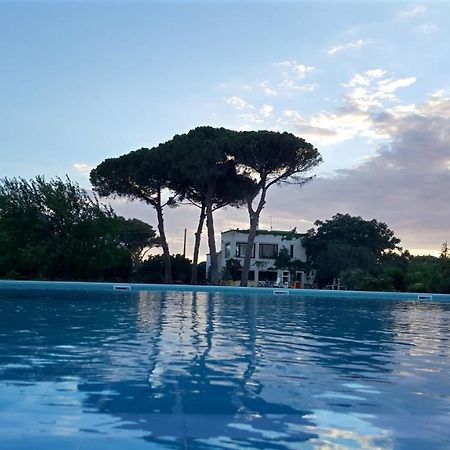 Tenuta Donnanna Agriturismo&Glamping Галатоне Екстериор снимка