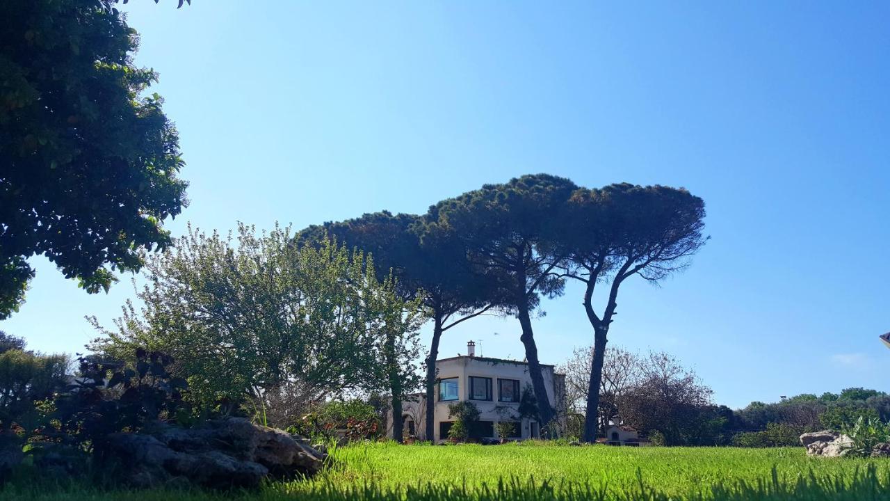 Tenuta Donnanna Agriturismo&Glamping Галатоне Екстериор снимка