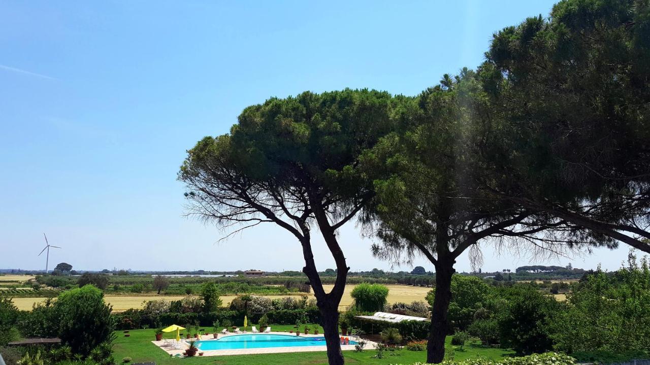 Tenuta Donnanna Agriturismo&Glamping Галатоне Екстериор снимка
